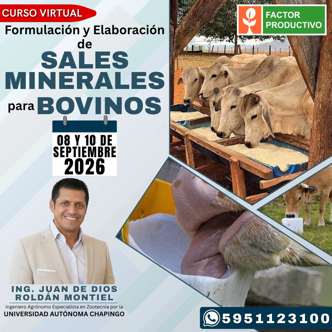 Formulación y Elaboración de Sales Minerales para Bovinos